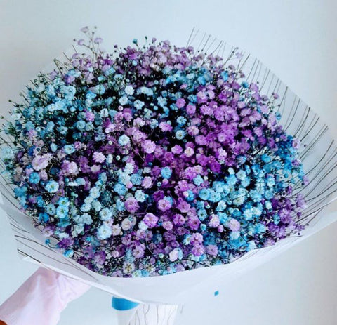 Dual colour Baby Breath